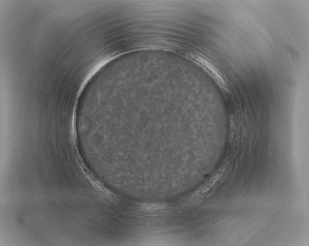 X0000115370788200912151418