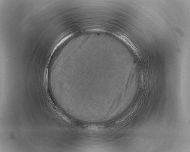 X0000115370790200912151418