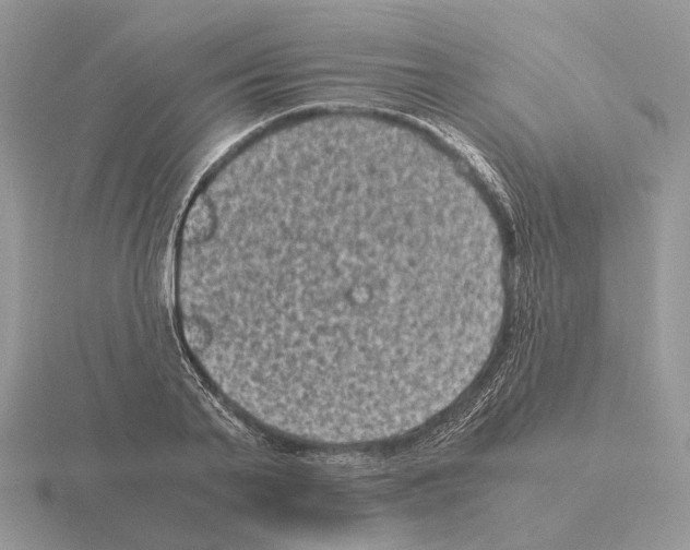 X0000115370791200912151418