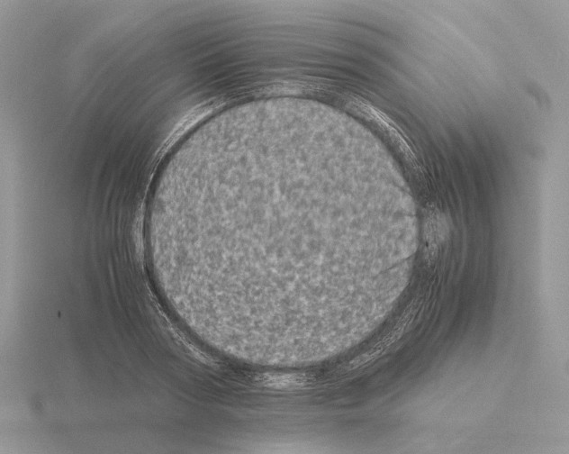 X0000115370794200912151418