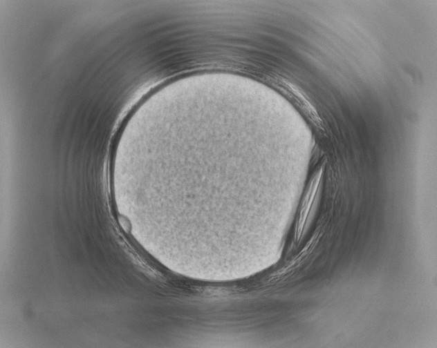 X0000115370796200912151418