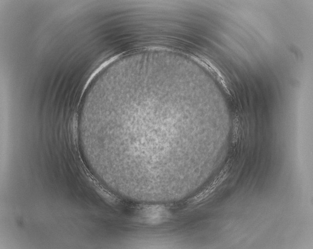 X0000115370798200912151418