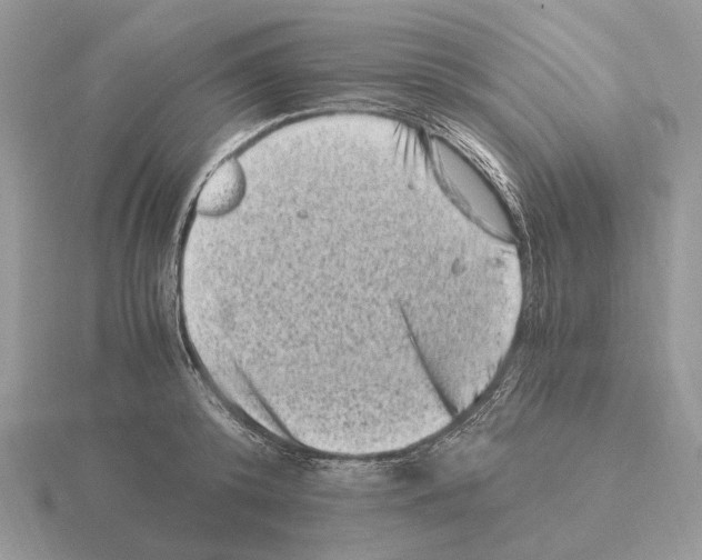 X0000115370800200912151418