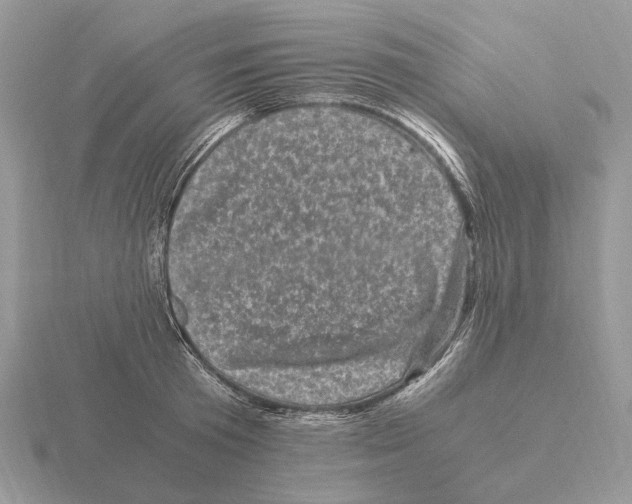 X0000115370801200912151418