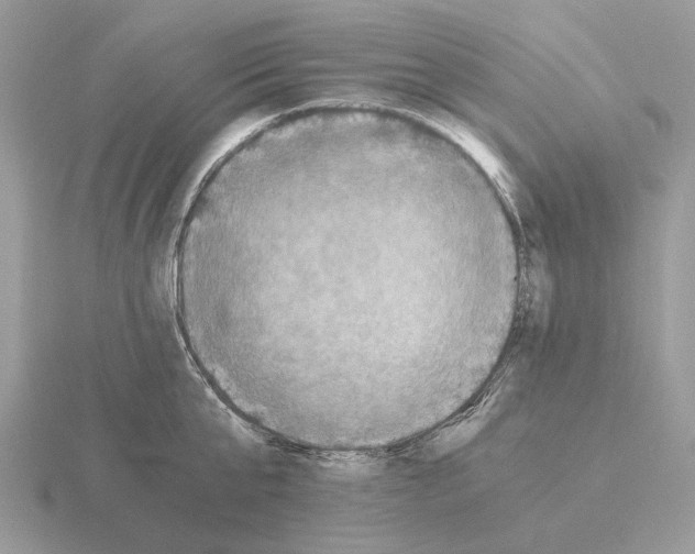 X0000115370807200912151417