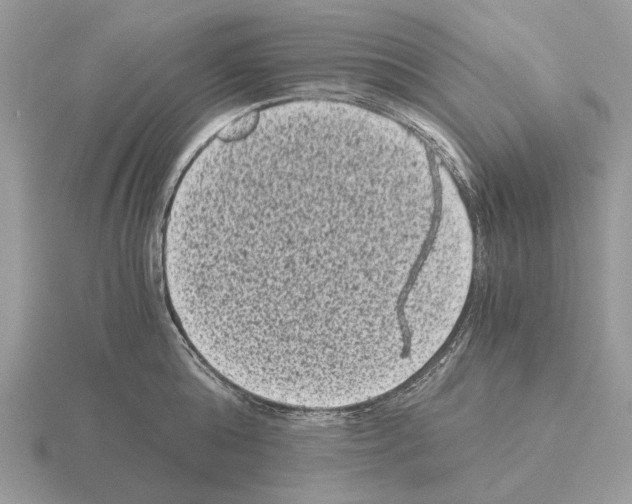 X0000115370808200912151417