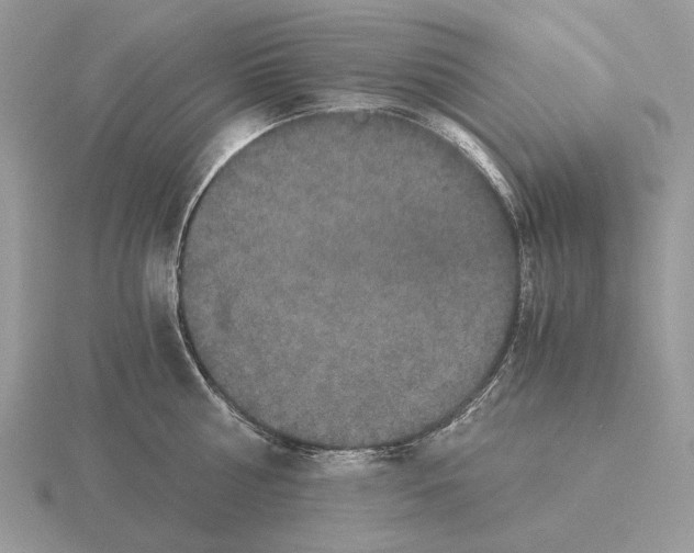 X0000115370810200912151417