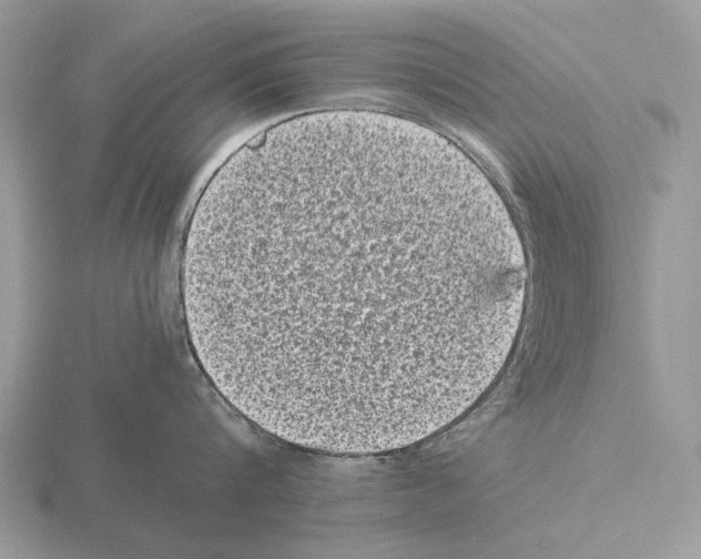 X0000115370816200912151417