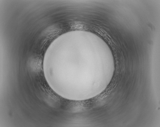 X0000115370820200912151417