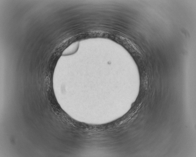 X0000115370821200912151417