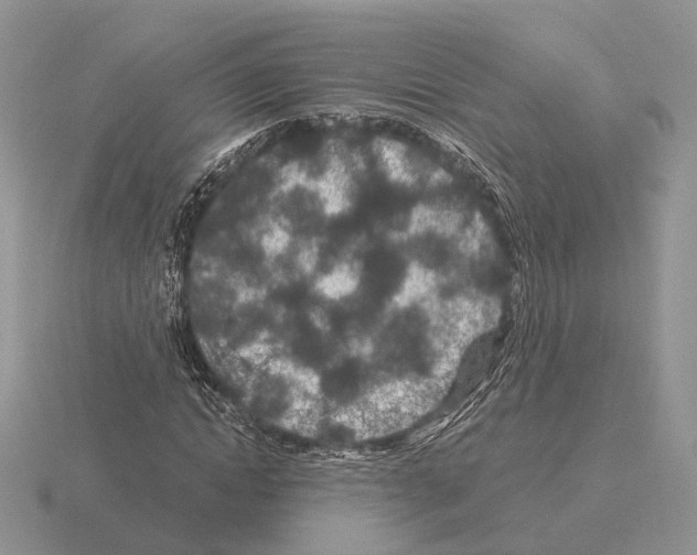 X0000115370822200912151417