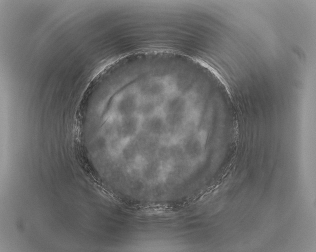 X0000115370823200912151417