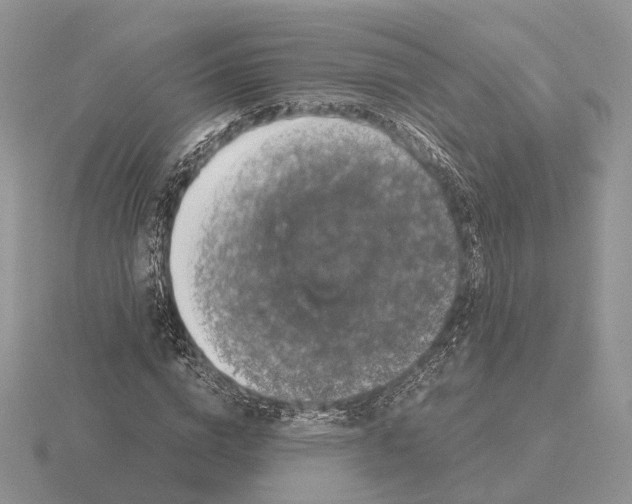 X0000115370824200912151417