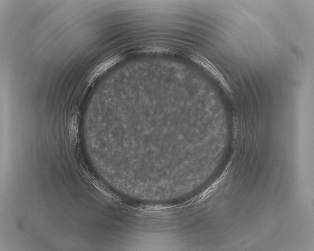 X0000115370826200912151417