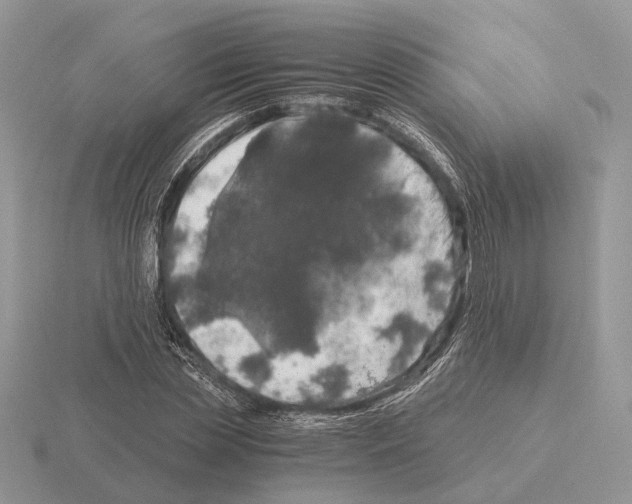 X0000115370829200912151417