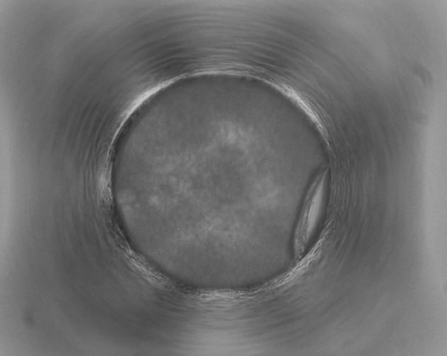 X0000115370830200912151417