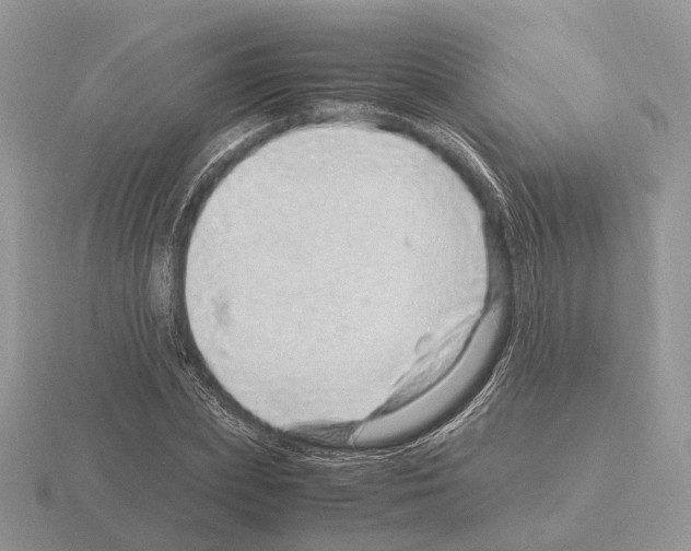 X0000115370831200912151417