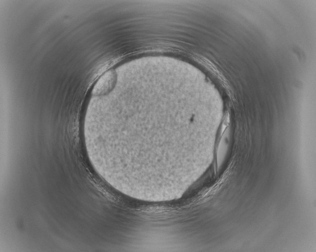 X0000115370834200912151417