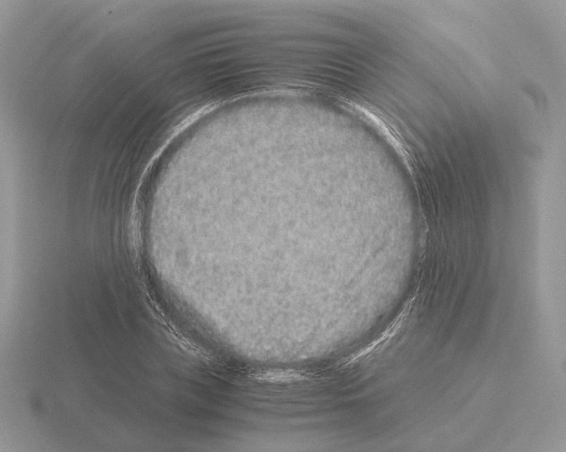 X0000115370835200912151417