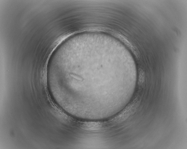 X0000115370836200912151417