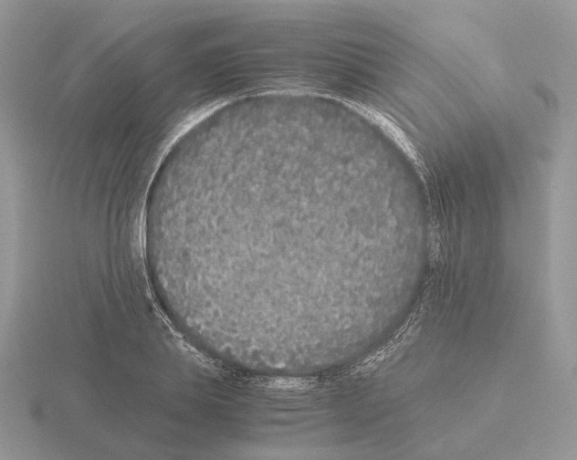 X0000115370839200912151417