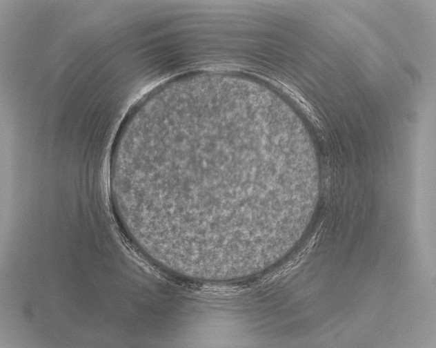 X0000115370840200912151417