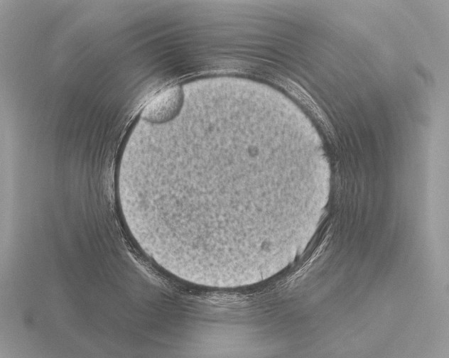 X0000115370842200912151417