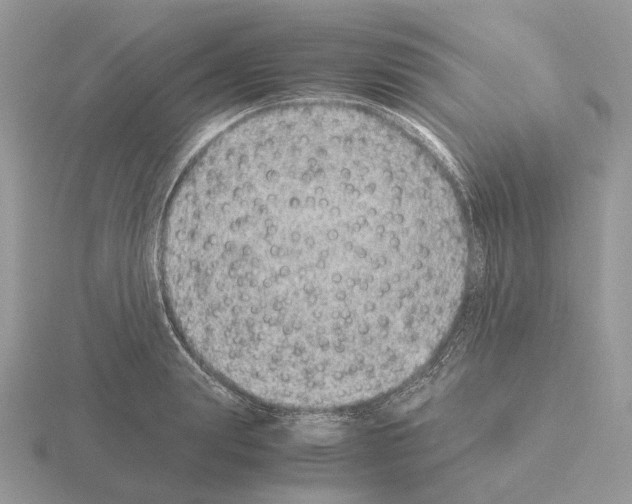 X0000115370847200912151417