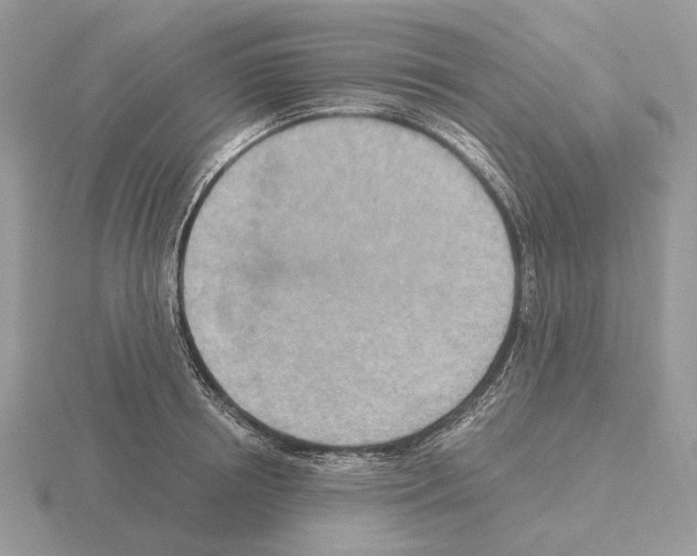 X0000115370850200912151417