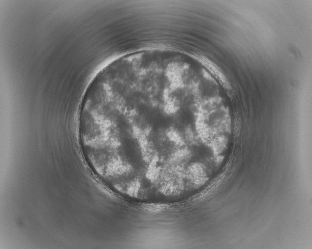 X0000115370854200912151417