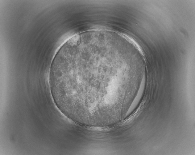 X0000115370855200912151417