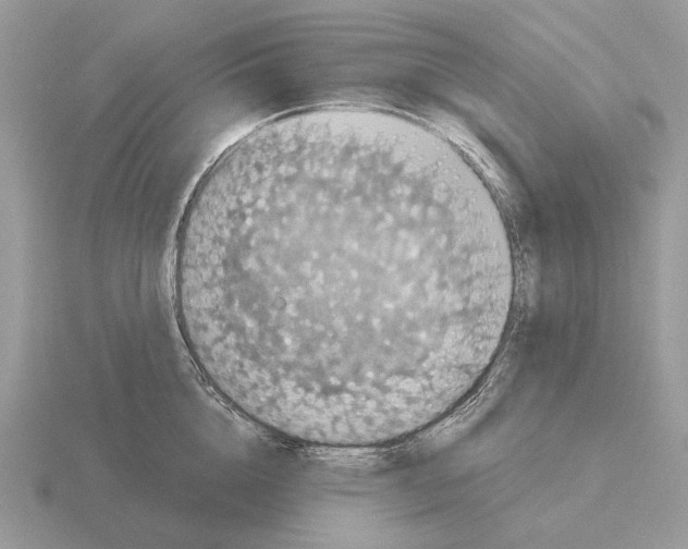 X0000115370856200912151417