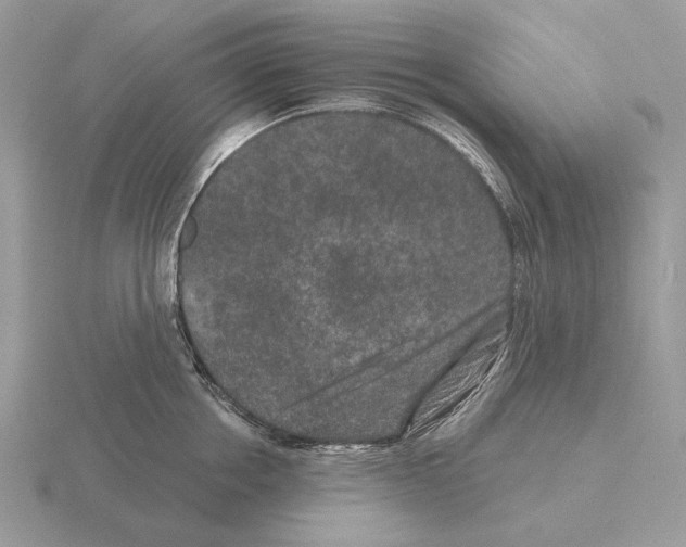 X0000115370858200912151417