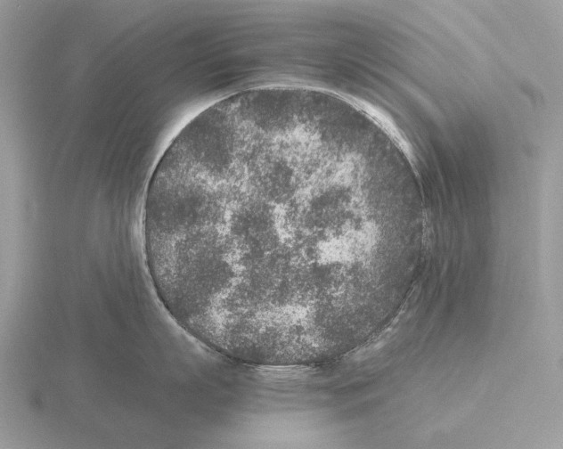 X0000115370863200912151417