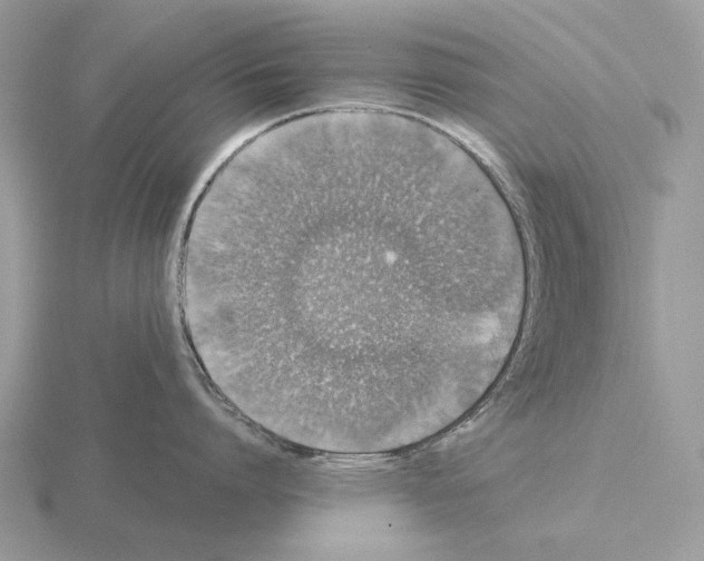 X0000115370864200912151417