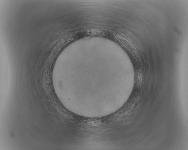 X0000115370865200912151417