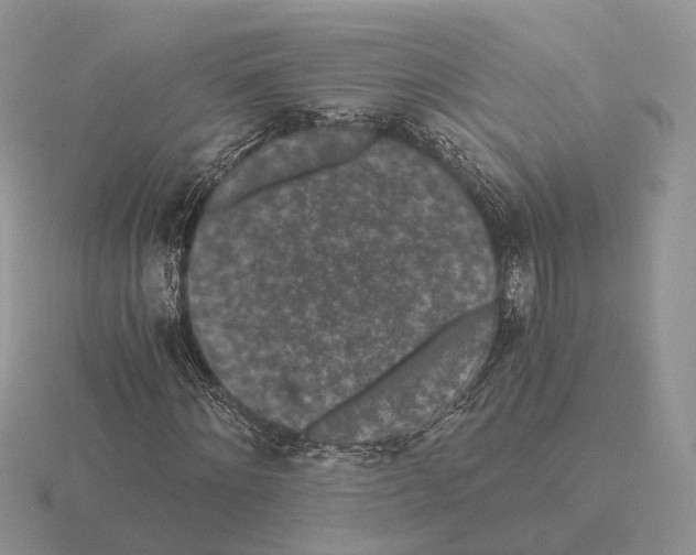 X0000115370868200912151417