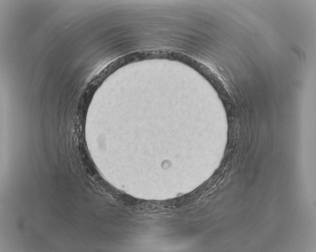 X0000115370871200912151417