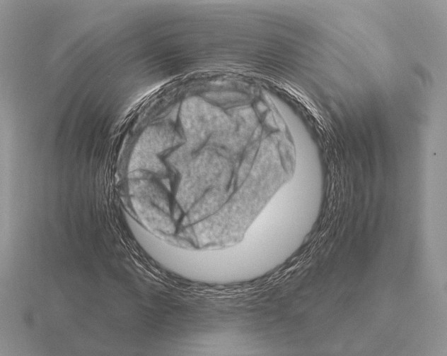 X0000115370872200912151417