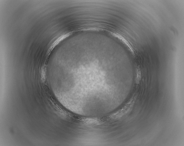 X0000115370874200912151417