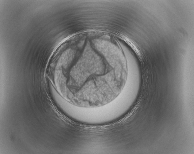 X0000115370876200912151417