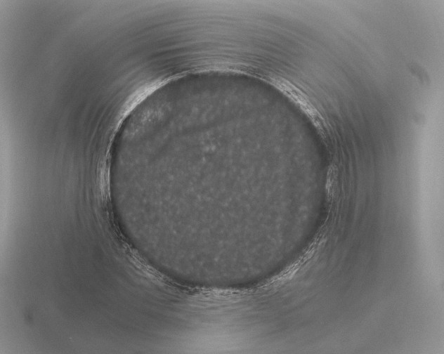 X0000115370877200912151417