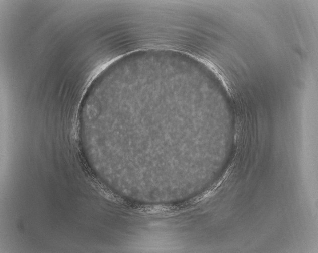 X0000115370879200912151417