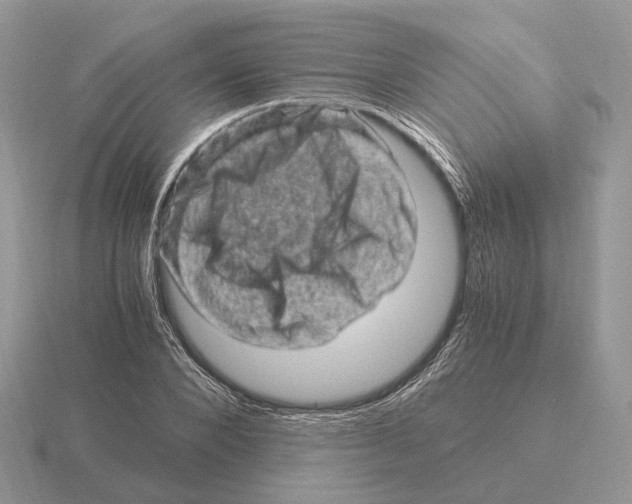 X0000115370880200912151417