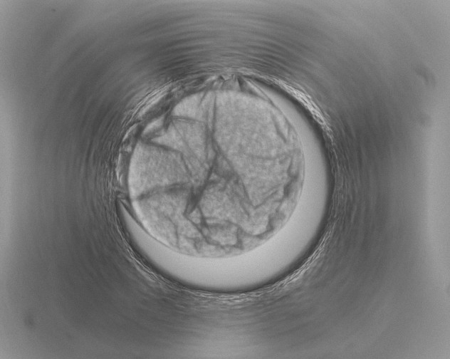 X0000115370881200912151417