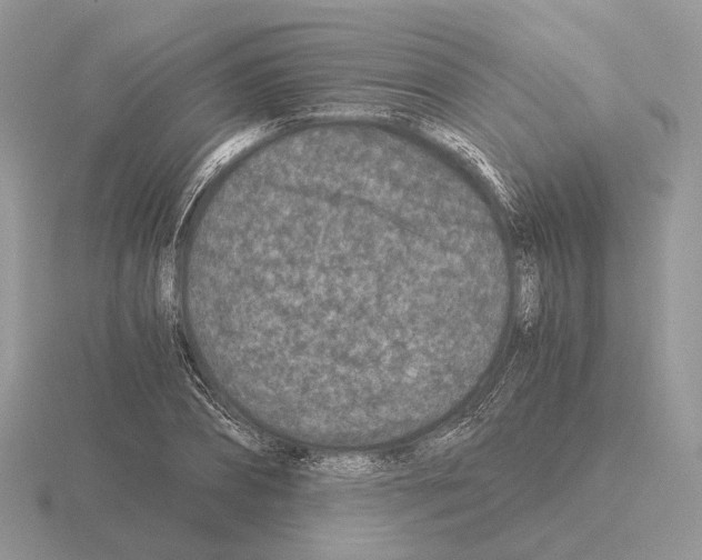 X0000115370882200912151416