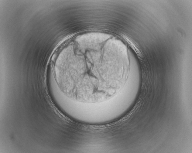 X0000115370884200912151416