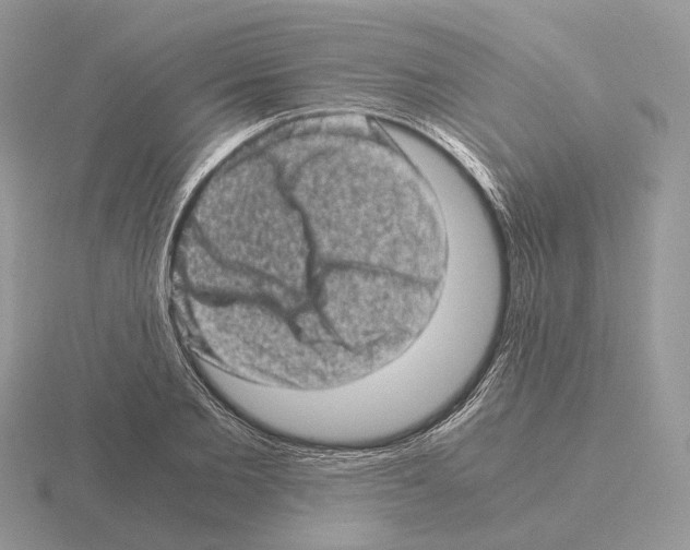 X0000115370885200912151416