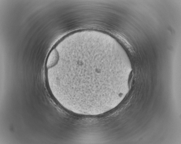 X0000115370888200912151416