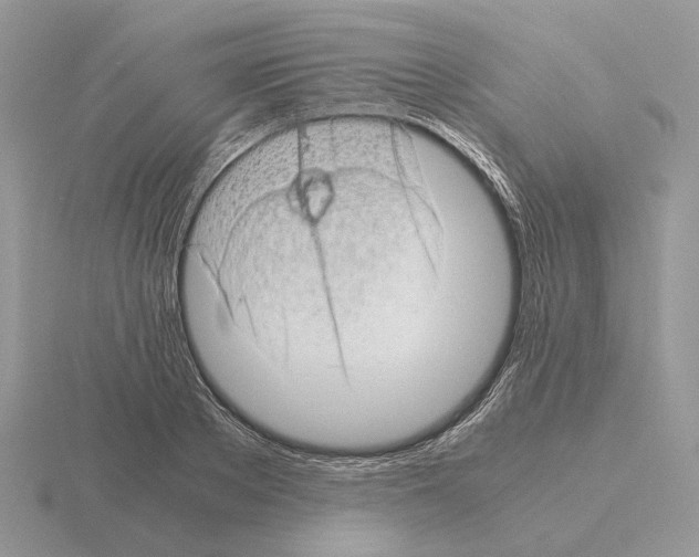 X0000115370889200912151416